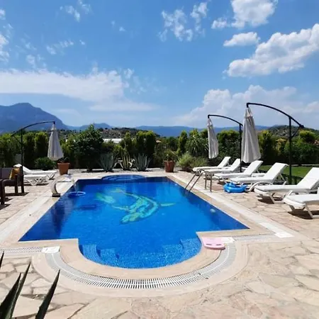Outstanding House With Orchard And Private Pool In Ortaca, Mugla * מוגלה